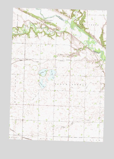 Lone Tree Lake, MN USGS Topographic Map