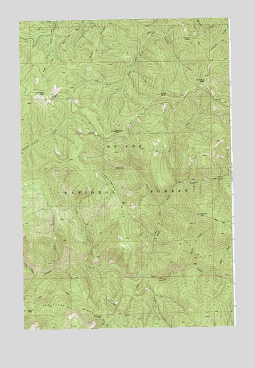 Bathtub Mountain, ID USGS Topographic Map