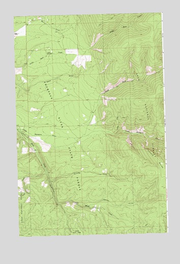 Loneman Creek, MT USGS Topographic Map