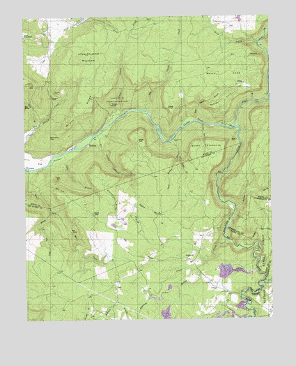 Lonewood, TN USGS Topographic Map