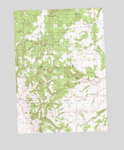 Long Barn, OR USGS Topographic Map