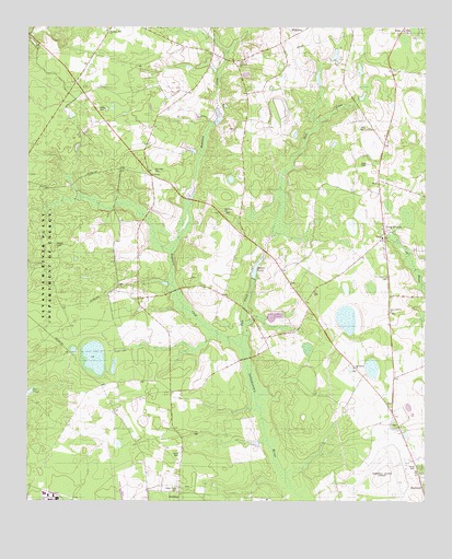 Long Branch, SC USGS Topographic Map