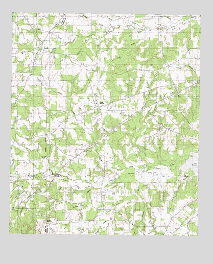Long Branch, TX USGS Topographic Map