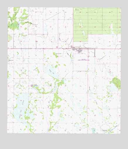 Long Island Marsh NW, FL USGS Topographic Map