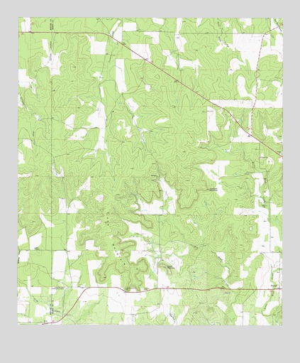 Long Mountain, TX USGS Topographic Map