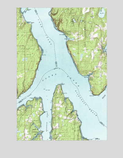Longbranch, WA USGS Topographic Map