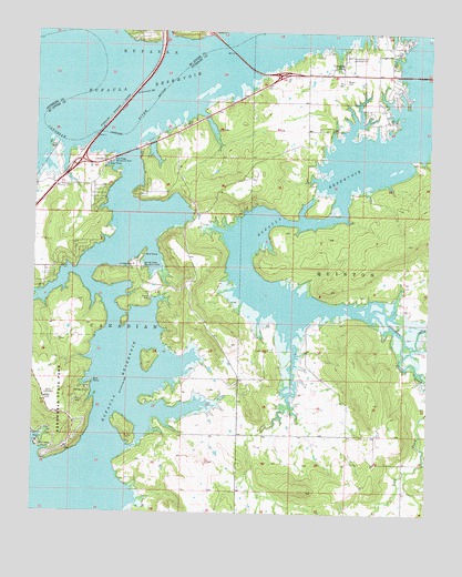 Longtown, OK USGS Topographic Map