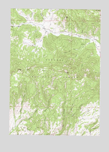 Lookout Point, ID USGS Topographic Map