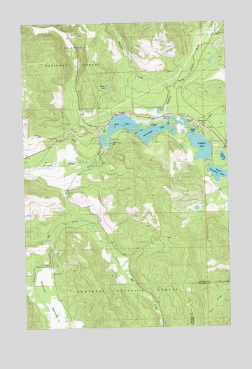 Loon Lake, MT USGS Topographic Map