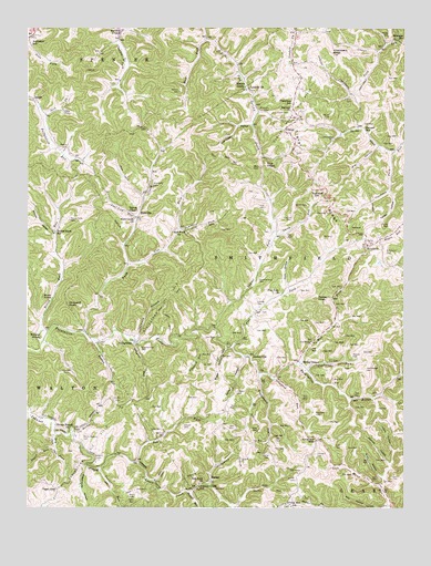Looneyville, WV USGS Topographic Map