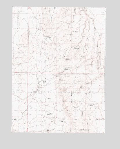 Battle Mountain, OR USGS Topographic Map