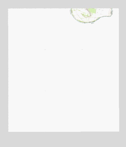 Los Ebanos NW, TX USGS Topographic Map