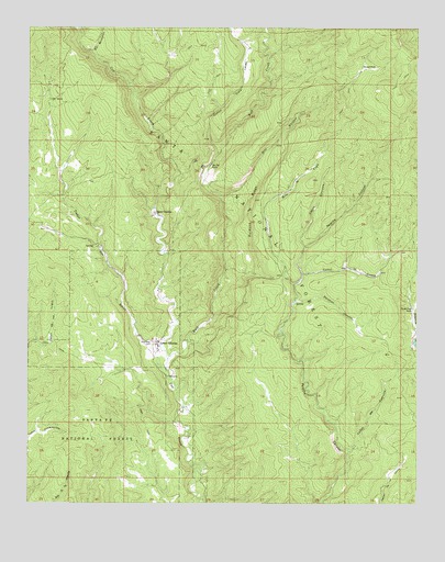 Lower Colonias, NM USGS Topographic Map