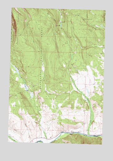 Lower Seymour Lake, MT USGS Topographic Map