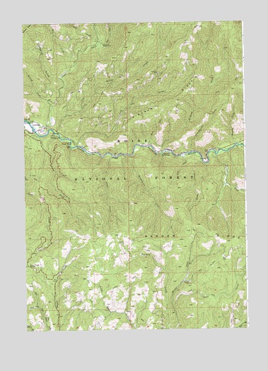 Lowman, ID USGS Topographic Map
