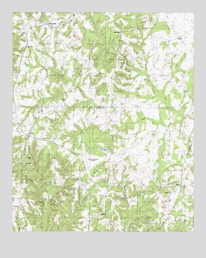 Lowrys, SC USGS Topographic Map