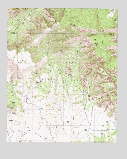 Loy Butte, AZ USGS Topographic Map
