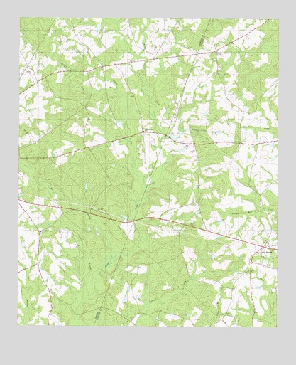 Bay Branch, GA USGS Topographic Map
