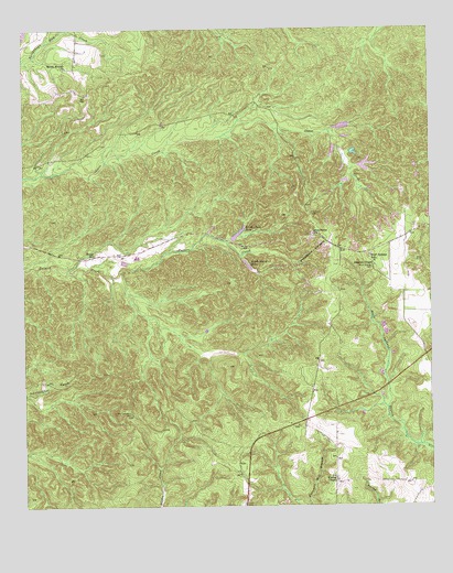 Lumpkin SW, GA USGS Topographic Map