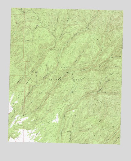 Bay Buck Peaks, NM USGS Topographic Map