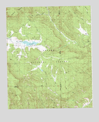 Luna Lake, AZ USGS Topographic Map