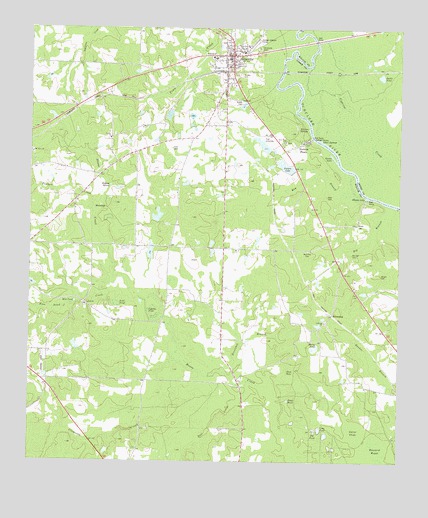 Abbeville South, GA USGS Topographic Map