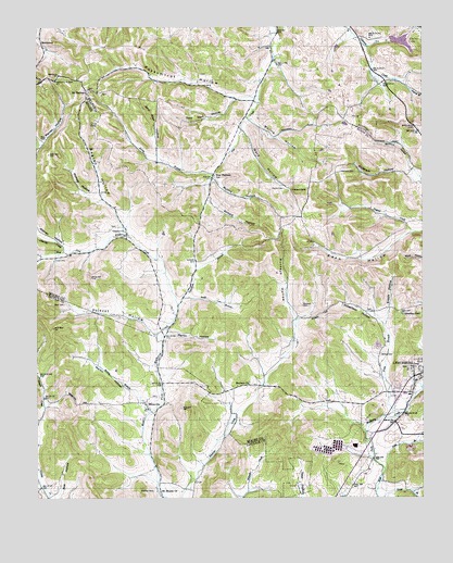 Lynchburg West, TN USGS Topographic Map