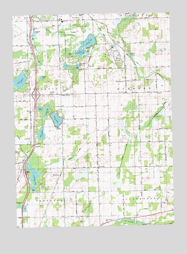 Lyon Lake, MI USGS Topographic Map