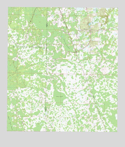 Bay Lake, FL USGS Topographic Map