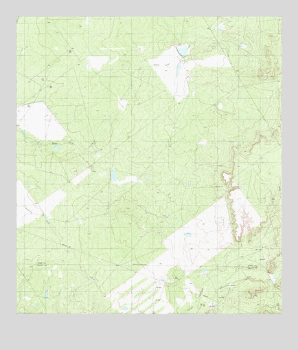 Agua Azul Creek East, TX USGS Topographic Map