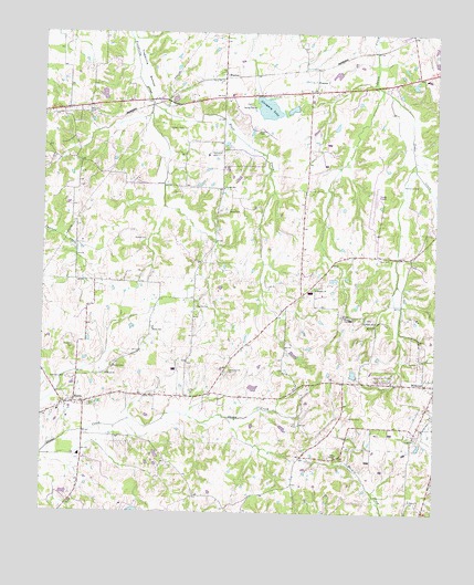 Macon, TN USGS Topographic Map