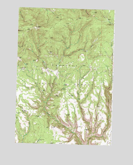 Madison Butte, OR USGS Topographic Map