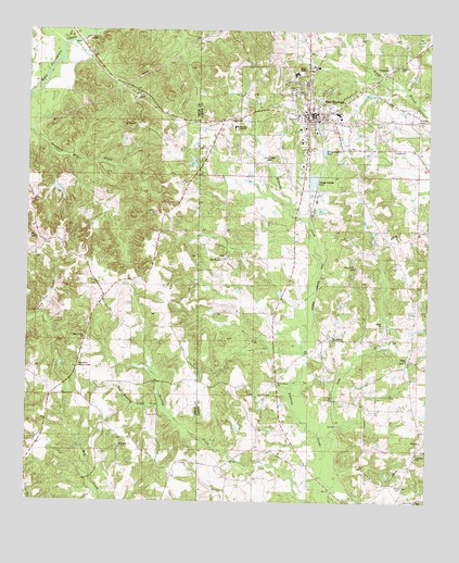 Bay Springs, MS USGS Topographic Map