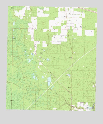 Madison SE, FL USGS Topographic Map