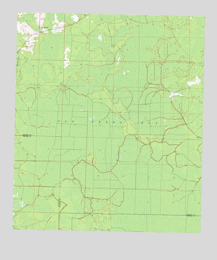 Madison SW, FL USGS Topographic Map
