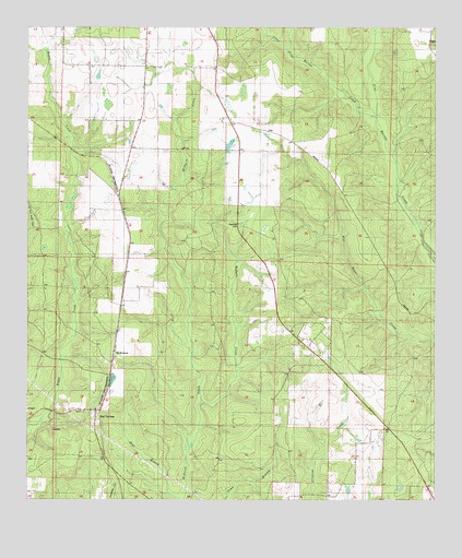 Bay Springs, FL USGS Topographic Map