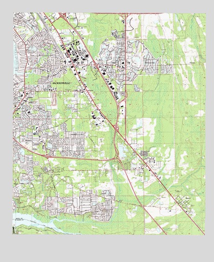Bayard, FL USGS Topographic Map