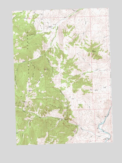 Bayhorse, ID USGS Topographic Map