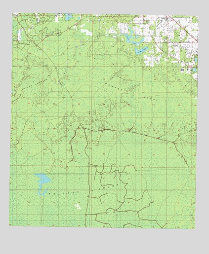 Mallory Swamp NE, FL USGS Topographic Map