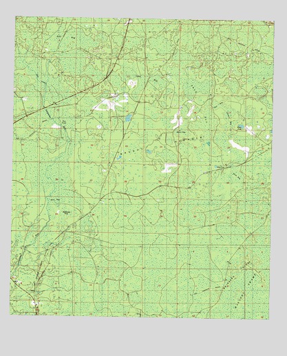 Mallory Swamp NW, FL USGS Topographic Map