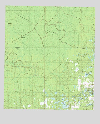 Mallory Swamp SE, FL USGS Topographic Map