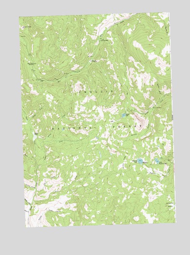 Bayhorse Lake, ID USGS Topographic Map