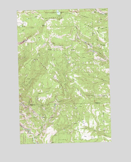 Manastash Lake, WA USGS Topographic Map