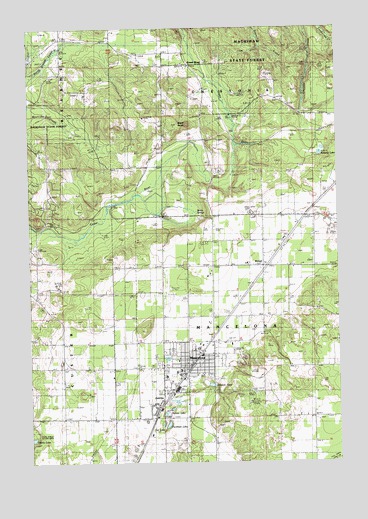 Mancelona, MI USGS Topographic Map
