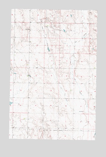 Baylor NE, MT USGS Topographic Map