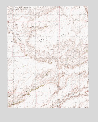 Mancos Mesa, UT USGS Topographic Map