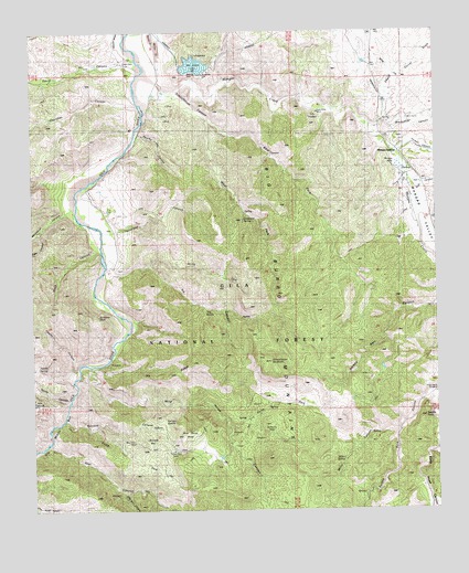 Mangas Springs, NM USGS Topographic Map