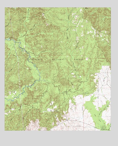 Bayou Livrogne, LA USGS Topographic Map