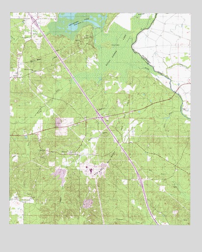 Bayou Pierre Lake, LA USGS Topographic Map