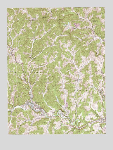 Mannington, WV USGS Topographic Map